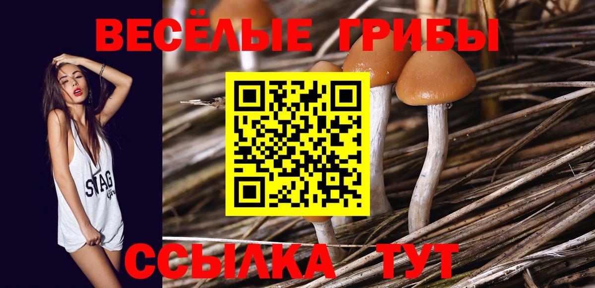 Галлюциногенные грибы GOLDEN TEACHER Джанкой