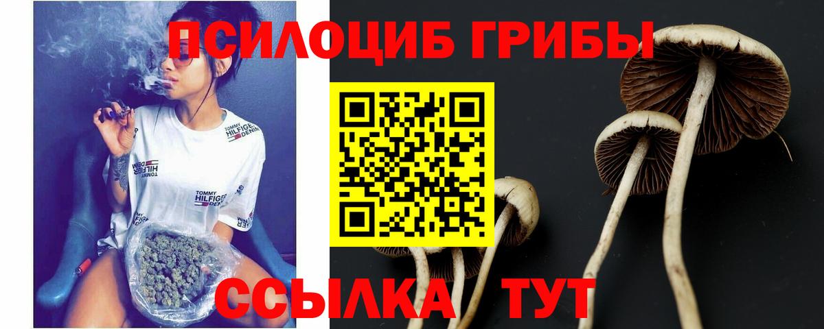 Джанкой  Псилоцибиновые грибы GOLDEN TEACHER  Псилоцибиновые грибы ЛСД  Вход с VPN 